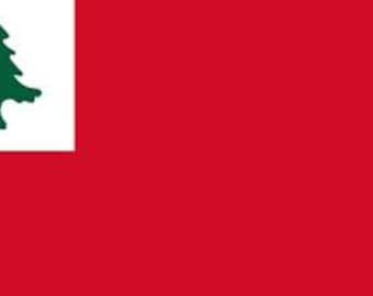 Drapeau Continental Guerre Révolutionnaire Drapeau Américain Bannière Historique