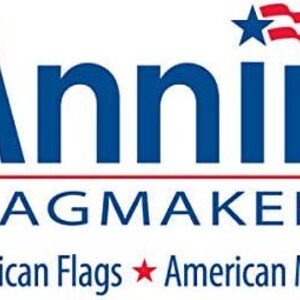 Bandera de escritorio miniatura de Taiwán, 8 x 12 pulgadas, rayón imagen 3