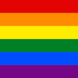 Tęczowa flaga dumy Trzy x pięć stóp Trwały nylon Obchody dumy, Parady dumy, LGBTQ Pride Darmowa wysyłka