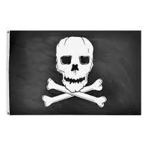 Könnte beinhalten: Schwarze Flagge mit einem weißen Totenkopf- und gekreuzten Knochen-Design. Der Schädel hat leere Augenhöhlen und einen grinsenden Mund. Die Knochen sind unter dem Schädel gekreuzt. Die Flagge ist rechteckig und hat eine weiße Hülse auf der linken Seite.