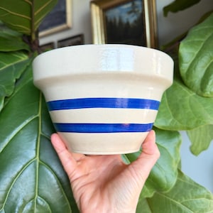 May include: A cream-colored ceramic bowl with two horizontal blue stripes. The bowl has a slightly flared rim and a rounded base. The bowl is held in front of a large green plant.