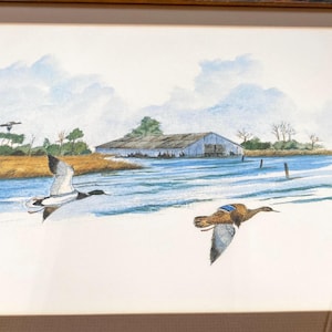 May include: Watercolor painting of two ducks in flight over a body of water. A weathered barn is in the background, with a cloudy sky above. The ducks have brown, white, and gray feathers.