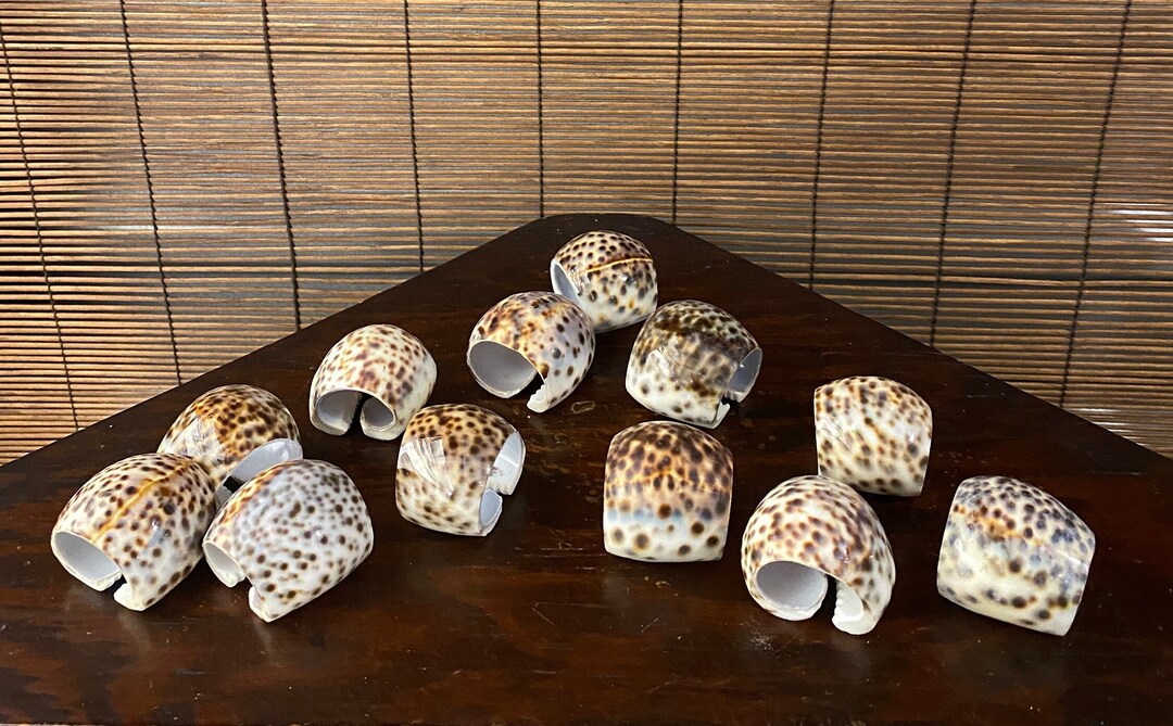 Vintage Cowrie Sea Shell Napkin Rings - Set of 12 - Etsy
