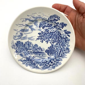 May include: A small, round, white ceramic plate with a blue landscape design. The design features trees, a building, and water, reminiscent of a classic toile pattern. The plate is held by a hand.