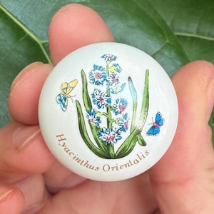 May include: A round white ceramic knob featuring a botanical illustration of a blue Hyacinthus orientalis flower with green leaves and two small butterflies on either side. The text Hyacinthus orientalis is printed in brown along the bottom edge.