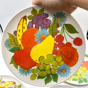 May include: White ceramic plate with a colorful fruit design. The plate features illustrations of a yellow banana, orange, red apple, yellow pear, green grapes, purple grapes, red cherries, and blue flowers. The plate is held by a hand.