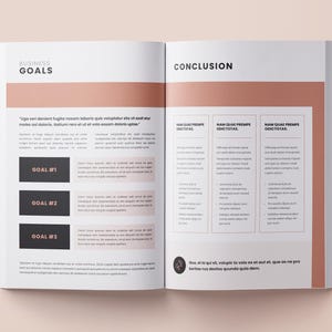 May include: A two-page spread of a business plan document with the words "Business Goals" and "Conclusion" at the top of each page. The left page has three numbered goals with text describing each goal. The right page has three columns with the text "Nam Quae Prempe Dictotas" at the top of each column. Each column has text describing the conclusion of the business plan.