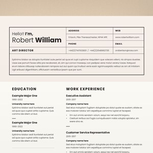ATS Compatible Resume Template, CV Template Resume Word, Resume Template, Professional Resume, CV Template, Executive Resume, Resume Design