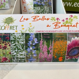 Scatola Les Belles à Bouquets - Fiori in bouquet