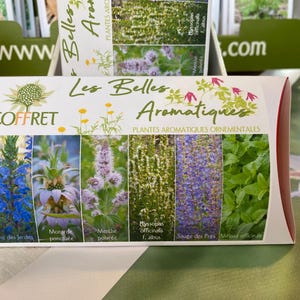 Cofanetto Les Belles Aromatiques - Bellissime Piante Aromatiche
