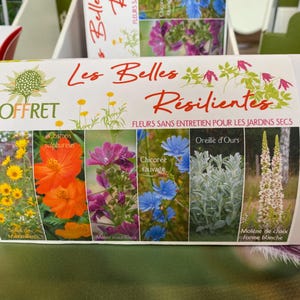 Scatola Les Belles Résilientes - Fiori della siccità