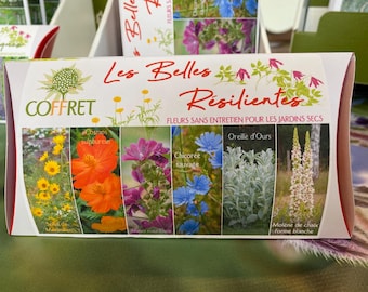 Coffret Les Belles Résilientes - Fleurs de sécheresse