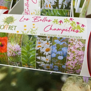 Scatola Les Belles Champêtres - Fiori di campo