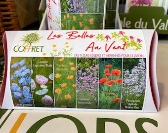 Coffret Les Belles au Vent