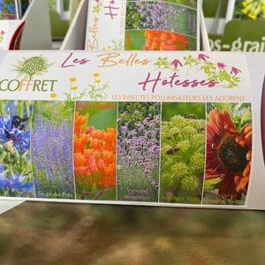 Scatola Les Belles Hôtesses - Fiori per impollinatori