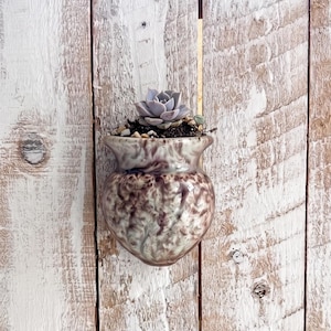 May include: A small, heart-shaped ceramic planter with a succulent plant. The planter has a mottled brown and cream glaze and is suspended against a weathered, white-painted wooden background. The succulent is a pale green color.