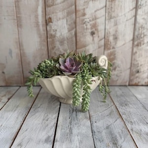 May include: A cream-coloured ceramic bowl with a fluted design and a scroll handle, filled with a variety of green and purple succulents. The arrangement includes trailing burro's tail succulents and a central purple rosette-shaped succulent.