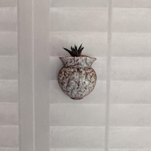 May include: A brown and green ceramic wall vase with a plant inside. The vase has a mottled glaze and a rounded shape.