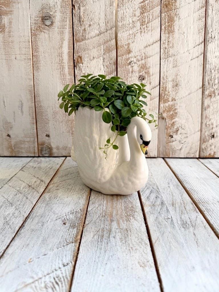 陶器の白鳥の花瓶 - Etsy 日本