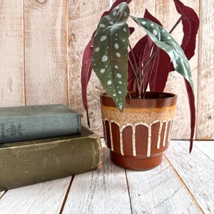 May include: A potted plant with large, green leaves dotted with white spots and deep red leaves. The plant is in a brown ceramic pot with a drip glaze design. Two vintage books are stacked to the left of the plant, on a white wooden surface.