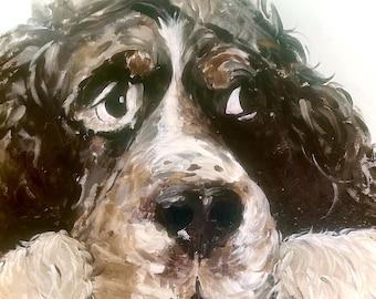 Pet Portraits