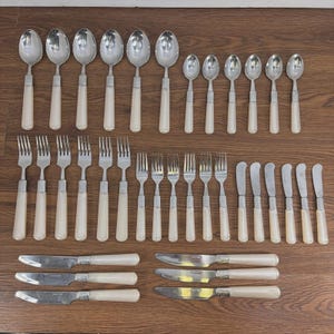 36 Pieces (6 Settings) Stainless Lucite (DRAGON HANDLE) Mid Century Vintage
