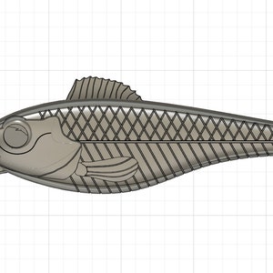Jerkbait fishing lures, wobblers, Klaus pike bait