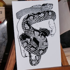 Skull & Snake - Graphic - Vinyl Sticker