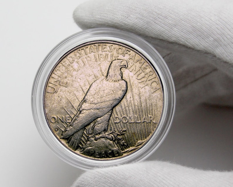 Op de afbeelding: Een zilveren Peace Dollar-munt met een afbeelding van een Amerikaanse zeearend. De munt bevindt zich in een doorzichtige plastic houder. De munt heeft de tekst "United States of America" en "One Dollar" rond de rand.