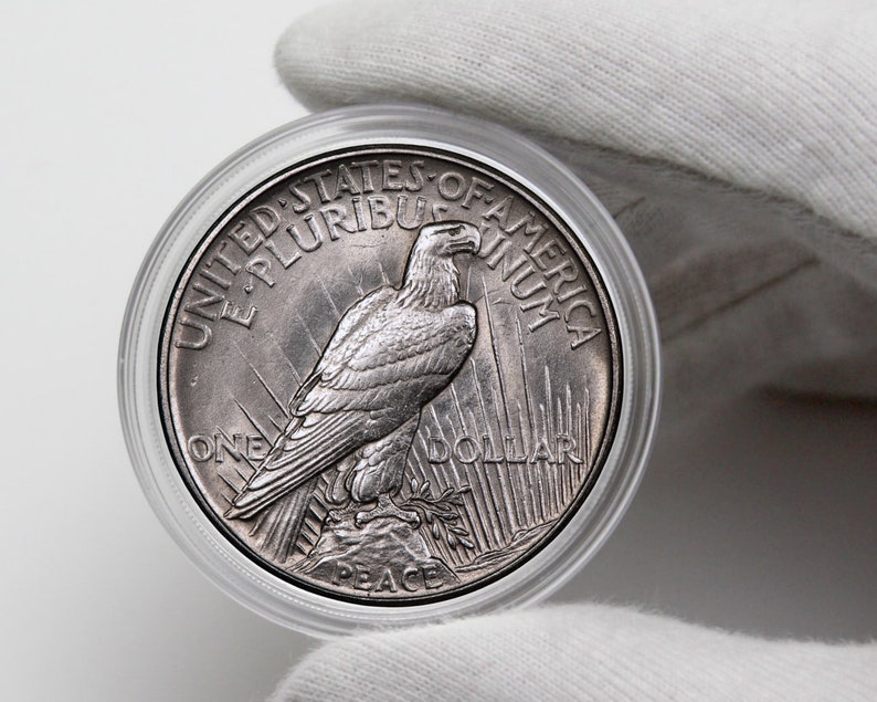 May include: A silver Peace Dollar coin in a clear plastic case. The coin features a bald eagle with outstretched wings, the words "United States of America" and "E Pluribus Unum", and the inscription "One Dollar" and "Peace".