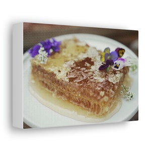 Wall Art Honey Comb Home Decor Photography Honey and FLowers