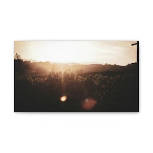 Wall Art Sunset Photography Wine Country Grapes Friends Gift Home Decor Vineyard Wall Art