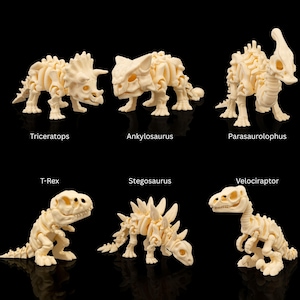 May include: Six off-white dinosaur skeleton models, including Triceratops, Ankylosaurus, Parasaurolophus, T-Rex, Stegosaurus, and Velociraptor, are displayed against a black background. Each model is labeled with its name.