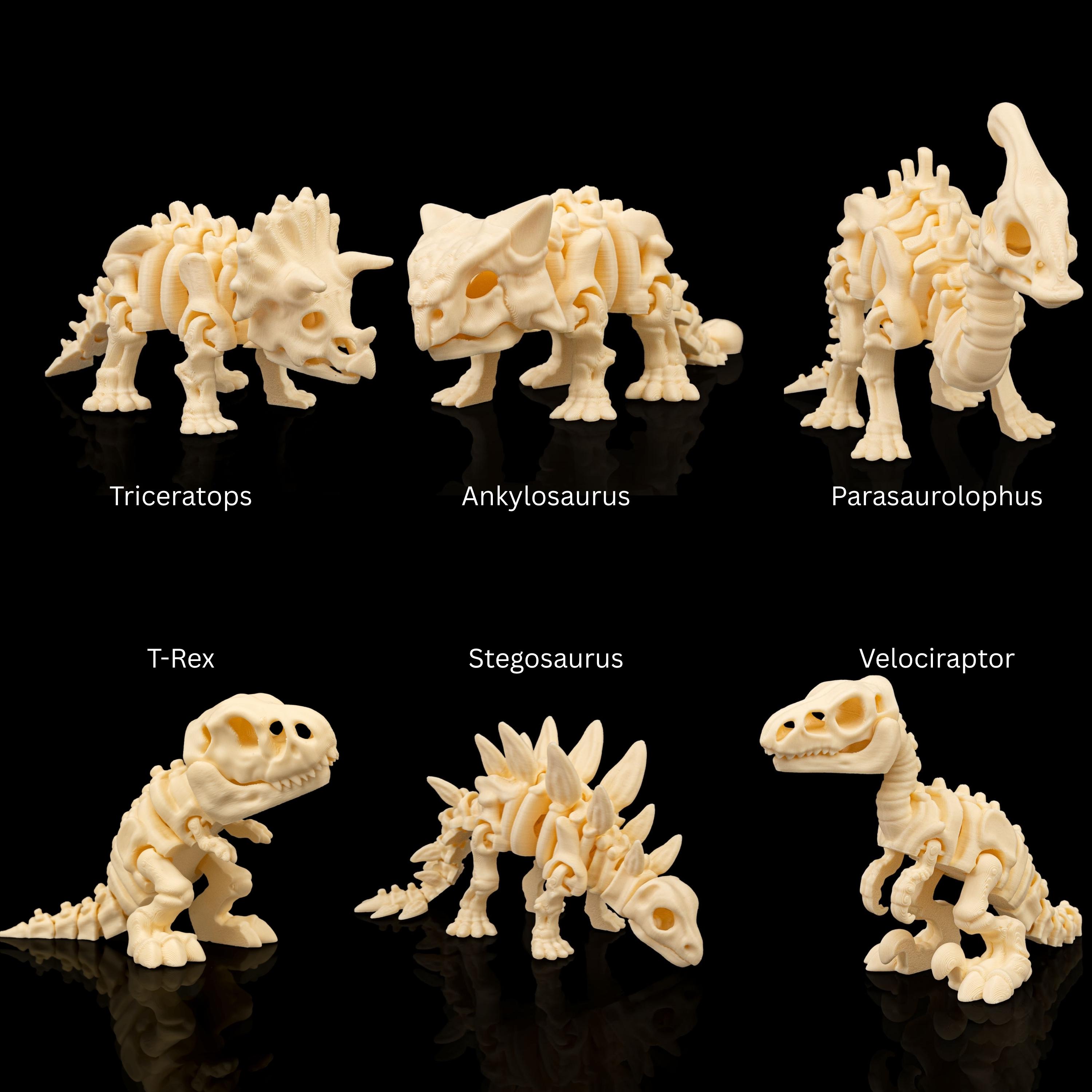 ミニ恐竜骨格フィギュア6体セット - 化石おもちゃセット、STEMギフト