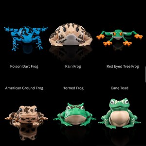 May include: A collection of six frog figurines, each with unique colors and patterns. The frogs include a blue Poison Dart Frog, a beige Rain Frog, and a green Red Eyed Tree Frog. The image also features an American Ground Frog, a Horned Frog, and a Cane Toad.