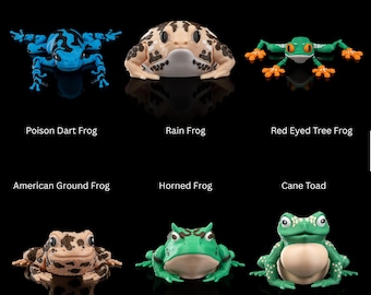 Articulated Poison Frog Figurine - Poseable Toad Toy Bundle, Red Eyed Tree Frog, Rain Frog & More Cute Gifts for Kids