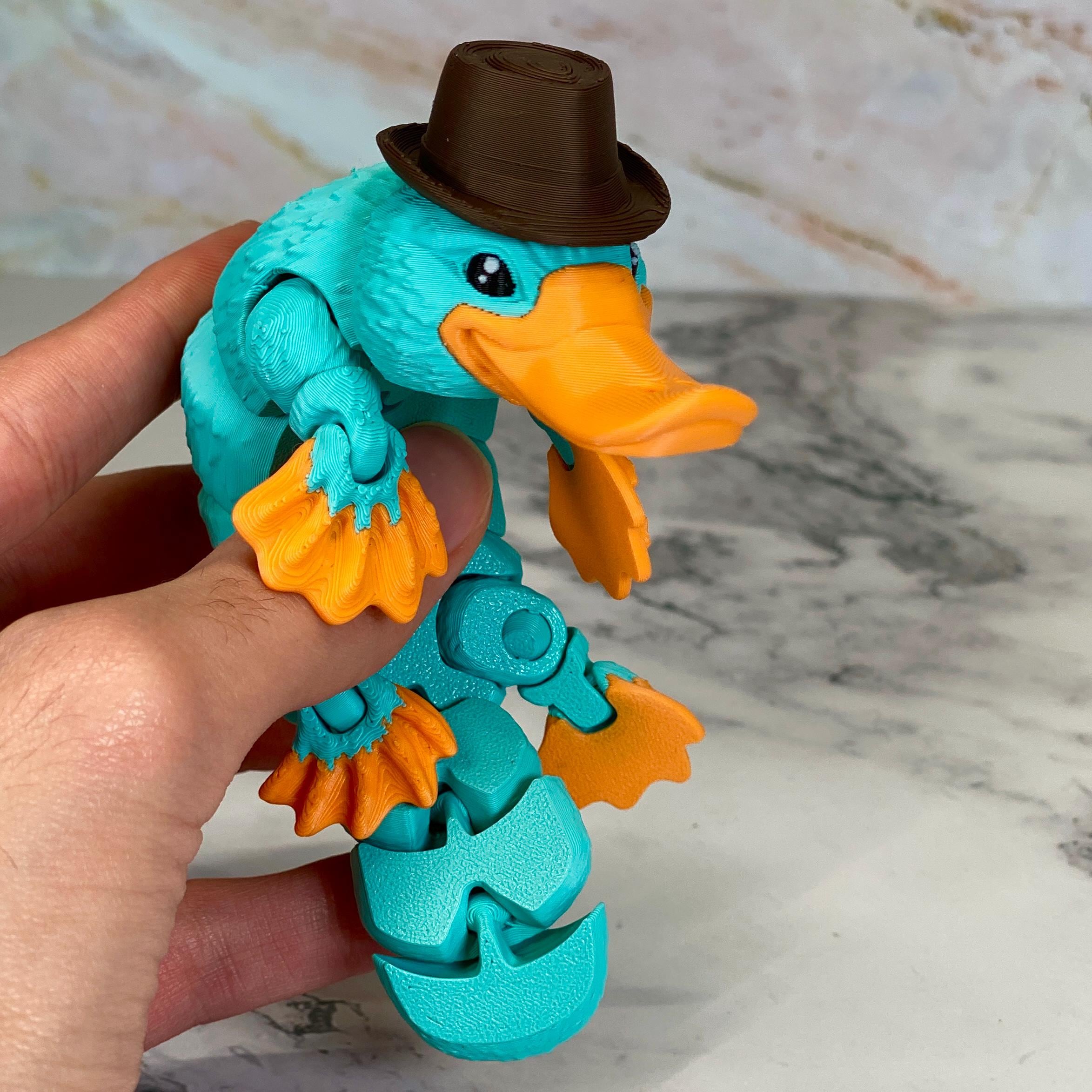 Rocky the Puzzled Platypus Children