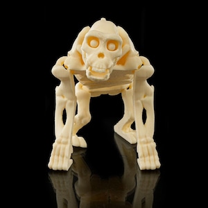 May include: A cream-colored plastic skeleton of a primate, standing on a black surface. The skeleton is posed in a crouching position with its arms extended forward.