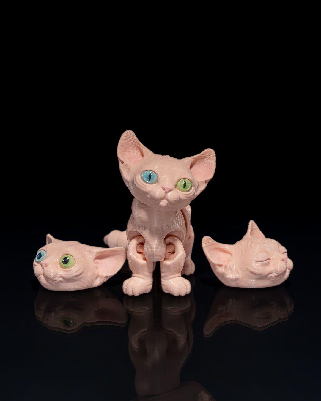 Reborn cat - Etsy 日本