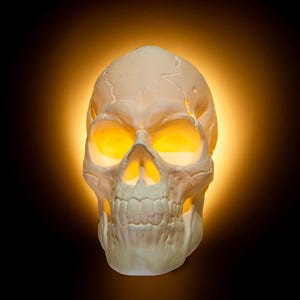 Light Headed Plug-in Lamp | Skull Night Light | Skeleton Night Light | Plug in | Wall Light | Night Light for Bathroom | Spooky Room Decor