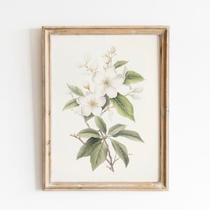 Vintage Botanical Print | Farmhouse Wall Decor | Botanical Wall Art | Living Room Art | Digital Download PRINTABLE Vintage Art