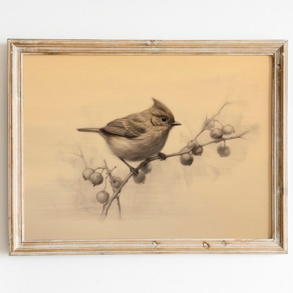 English Robin Vintage Bird Print | Antique Farmhouse Art | Rustic Bird Wall Art | Nature Wall Art | Digital Download PRINTABLE Vintage Decor