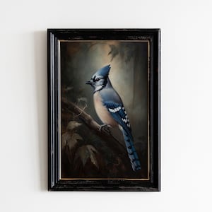 Vintage Blauhäher Vogel Druck | Antike Vogel Wandkunst | Stimmungsvolles Vintage Dekor | Wohnzimmer Kunst | Digital Download DRUCKBARE Ölgemälde