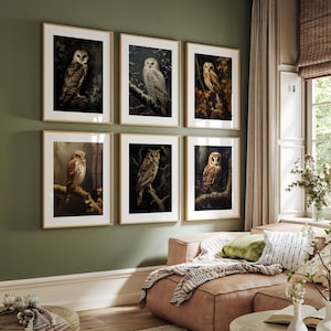 6 Owls Vintage Wall Art Prints | Moody Farmhouse Wall Decor | Cottagecore Wall Art | Owl Art | Digital Download PRINTABLE Gallery Wall Set