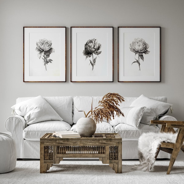 3 Peonies Sketches | Minimalist Wall Art | Botanical Prints | Peony Wall Art | Floral Prints | Digital Download PRINTABLE Wall Art