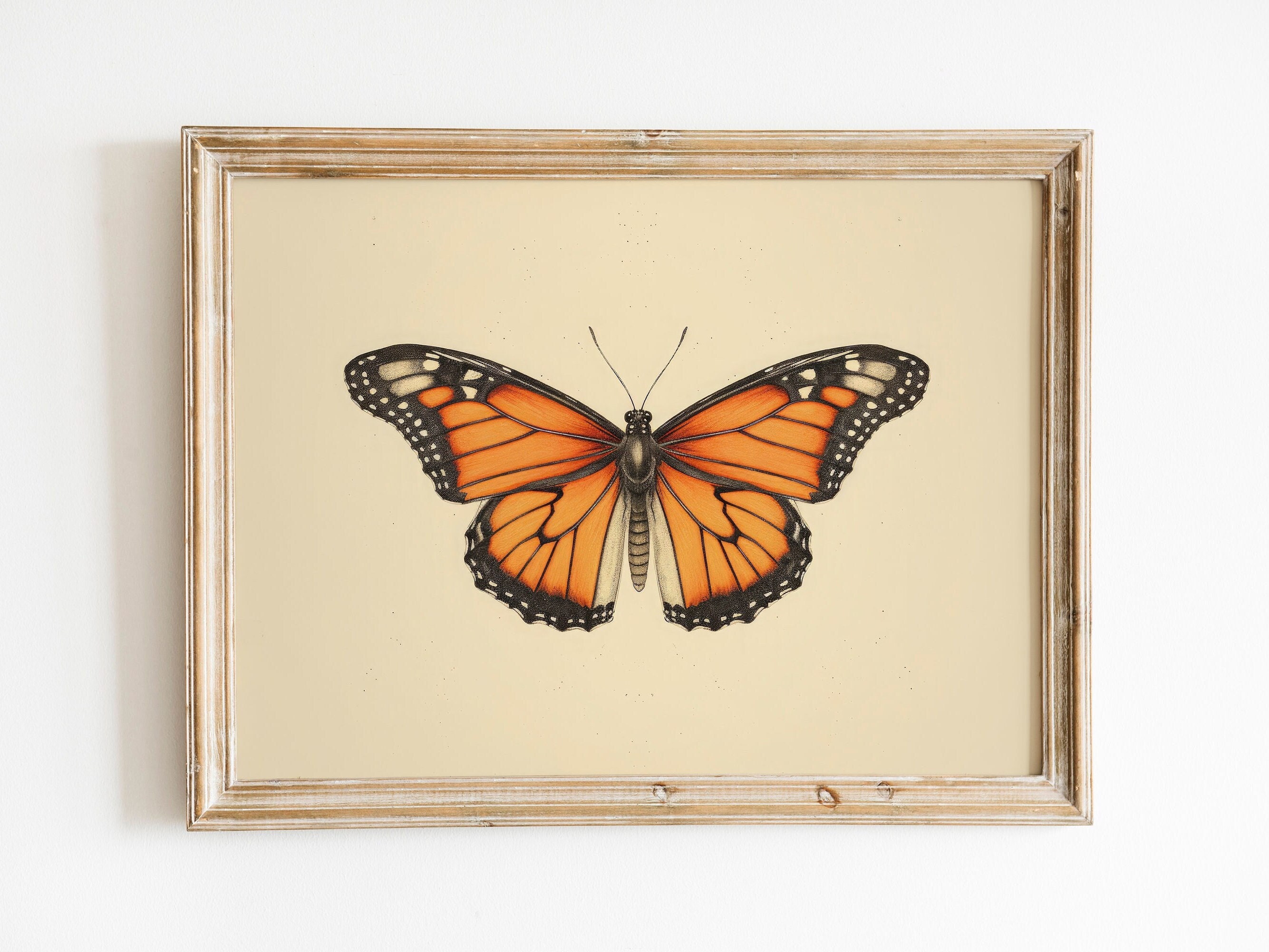 Butterfly Poster Vintage Etsy