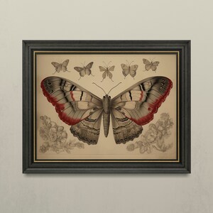 Butterfly Dark Academia Wall Art Print | Moody Gothic Wall Art | Dark Cottagecore |  Witchy Decor and Gifts | Digital Download PRINTABLE Art