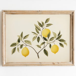 Vintage Lemons Kitchen Print | Farmhouse Kitchen Decor | Dining Room Art | Kitchen Wall Art | Digital Download PRINTABLE Rustic Wall Decor