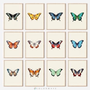 12 Vintage Butterfly Prints | Colorful Minimalist Wall Art | Butterfly Decor | Butterfly Gifts | Digital Download PRINTABLE Gallery Wall Set