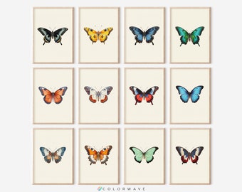 12 tirages papillon vintage | Art mural minimaliste coloré | Décor papillon | Cadeaux Papillon | Téléchargement numérique PRINTABLE Gallery Wall Set
